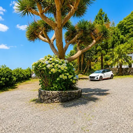 La Tanquera Y Rosas Apartmán Los Realejos